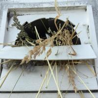 Ask about our "new style" vent covers that prevent pests and birds.
